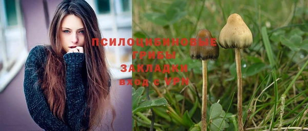 гидропоника Арсеньев