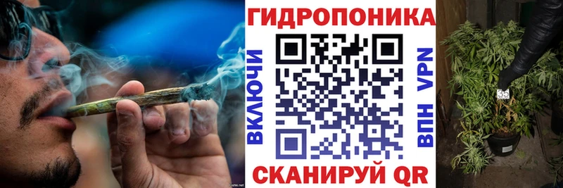 блэк спрут ТОР  Краснослободск  Шишки марихуана ГИДРОПОН 